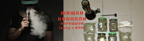 прущий лед Вяземский