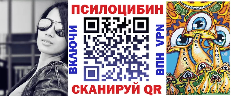 закладки  Владивосток  Галлюциногенные грибы MAGIC MUSHROOMS 